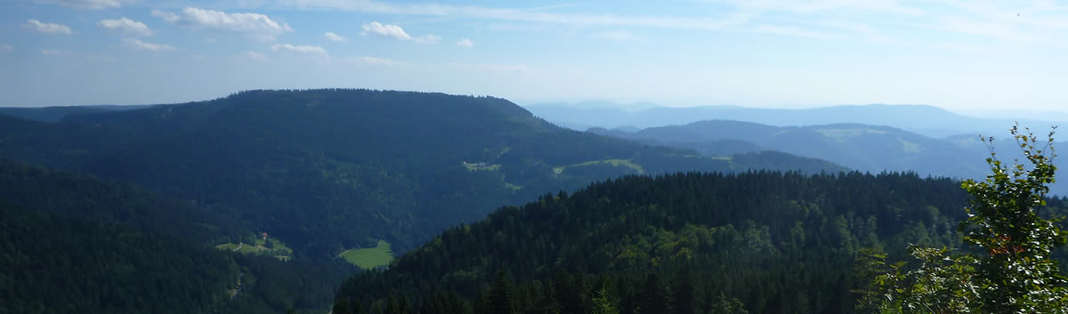 Ferrari 360 Modena in the Black Forest Germany
